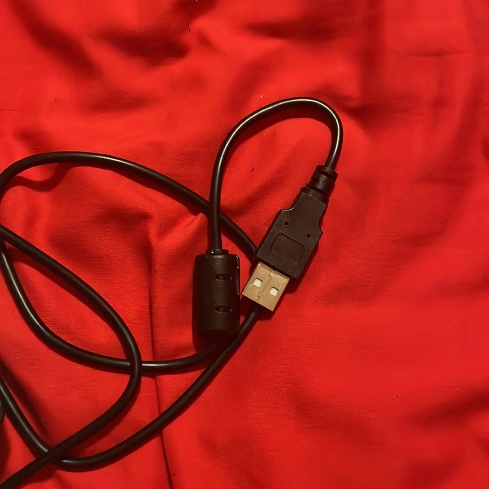 Portable webcam